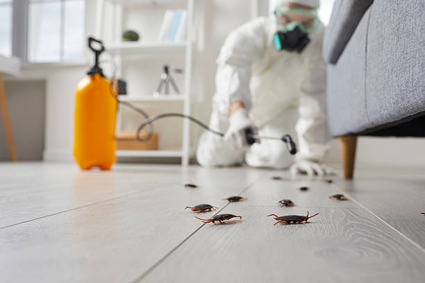 Commercial Kitchen Cockroach Control in Lake Camelot